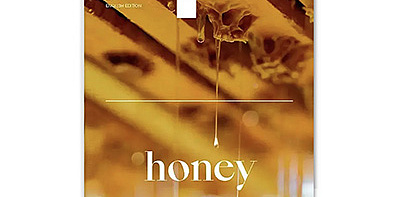Журнал HONEY