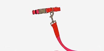 Поводок для собак Nylon Pink M