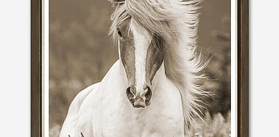 Good Hair Day Постер