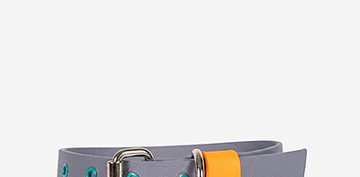 Ошейник для собак Waterproof Grey/Orange S