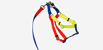Шлейка для собак Nylon Blue S