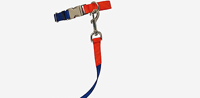 Поводок для собак Nylon Blue M