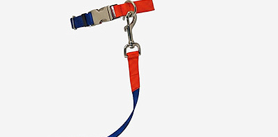 Поводок для собак Nylon Blue L