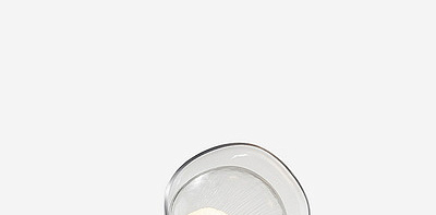 Petal Golden Anodised / Champagne Glass Настольная лампа