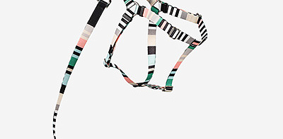 Шлейка для собак Striped Green L