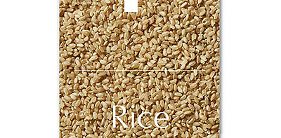 Журнал RICE