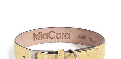 Torino Lemon Ошейник для собак L