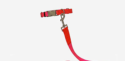 Поводок для собак Nylon Pink S
