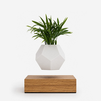 Кашпо левитирующее Lyfe Oak