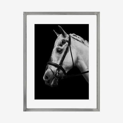 Grey Stallion Chelsea Постер