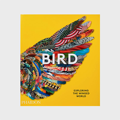 Bird: Exploring the Winged World Книга