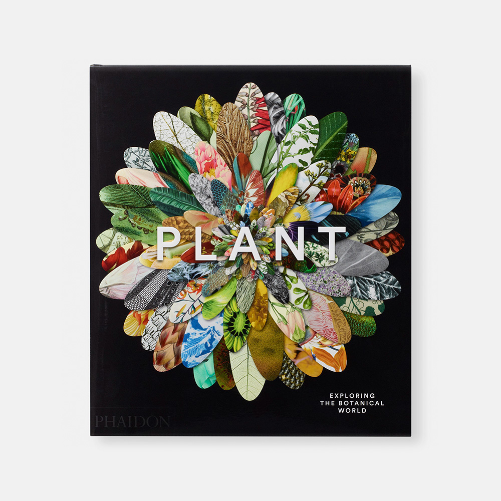 Plant: Exploring the Botanical World Книга hello world