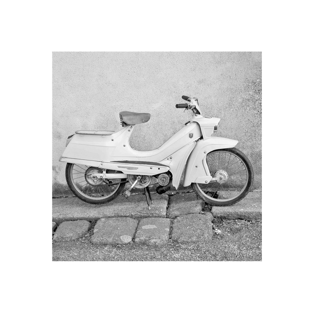 

Постер Vintage Motorbike II