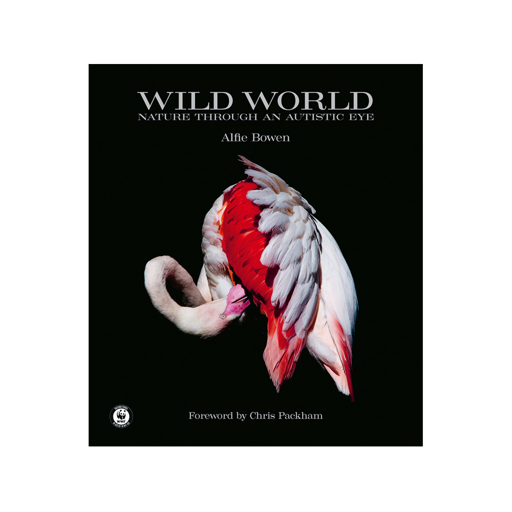 Wild World Книга hello world