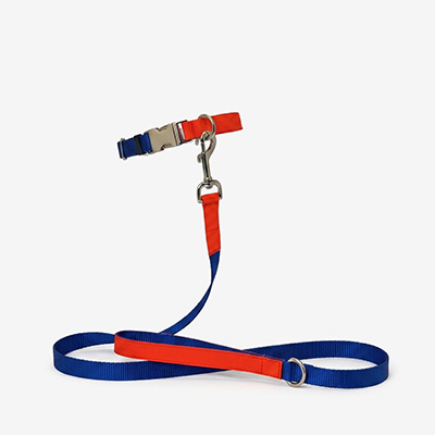 Поводок для собак Nylon Blue S