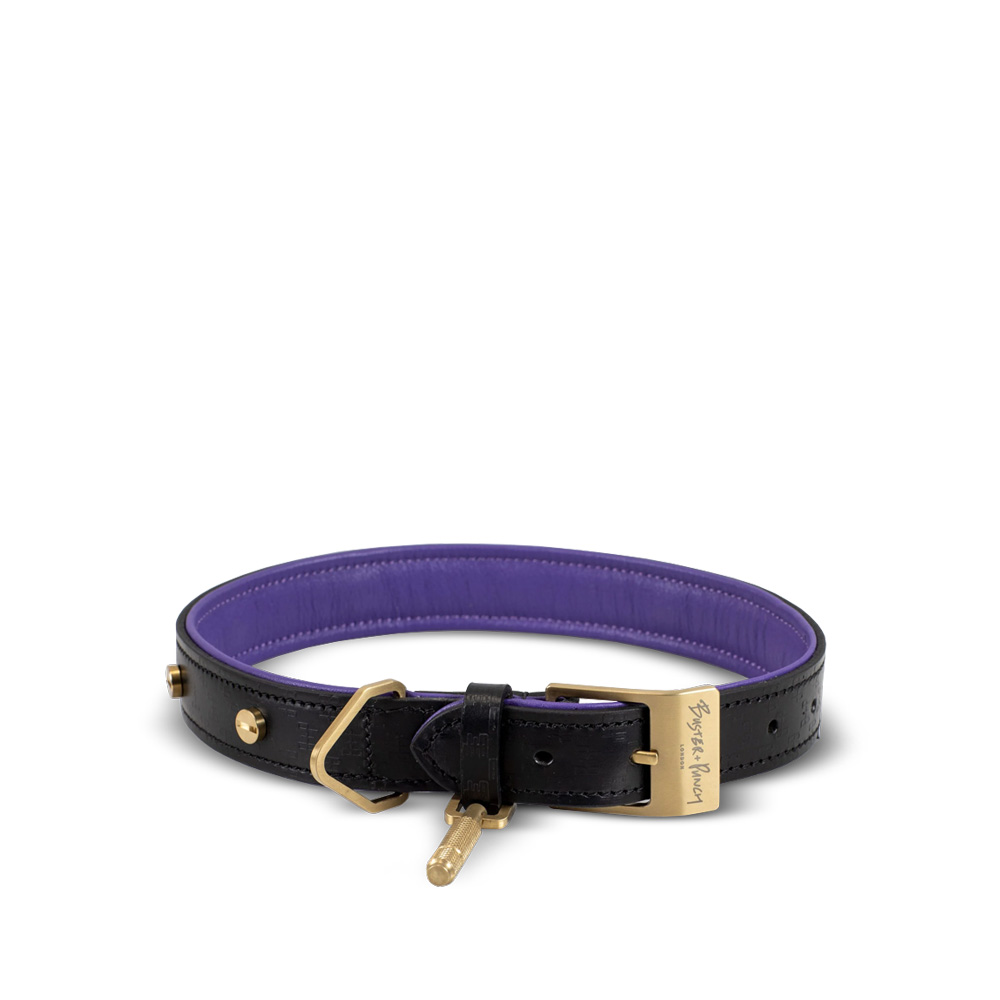 

Black Purple Brass Ошейник для собак M