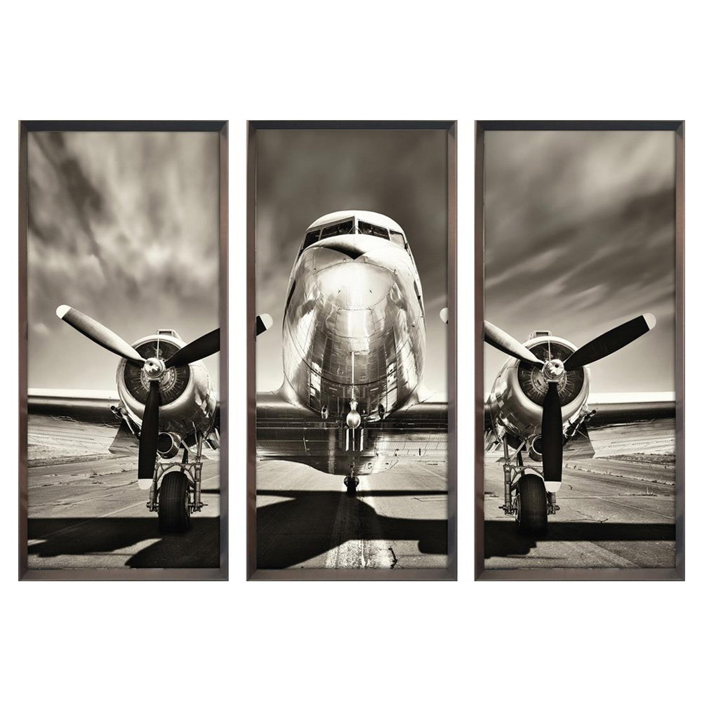 

Plane Triptychs Постер