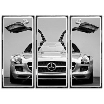 Mercedes SLS Gull-wing I Постер