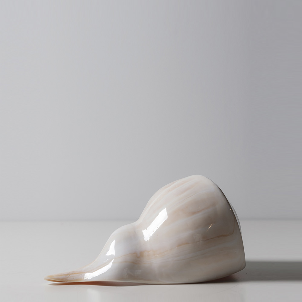 Seashell White Арт-объект