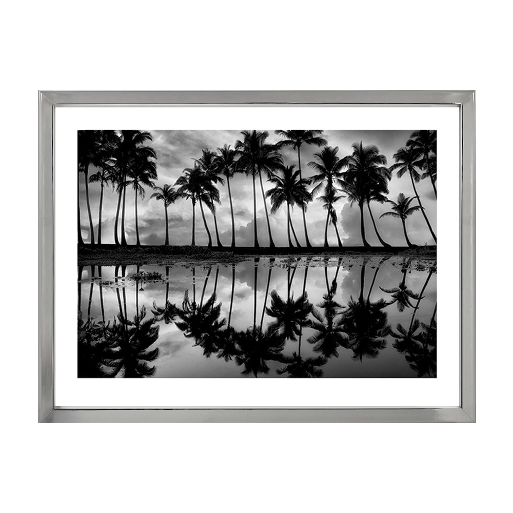 

Palm Reflection Постер