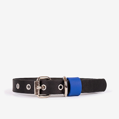 Ошейник для собак Waterproof Black/Royal L