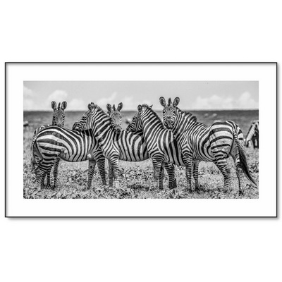 Zebra Gang Картина 230 х 130 см Zebra Gang Картина 230 х 130 см