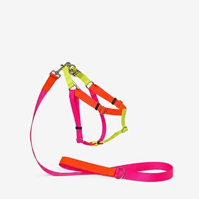 Шлейка для собак Nylon Pink M