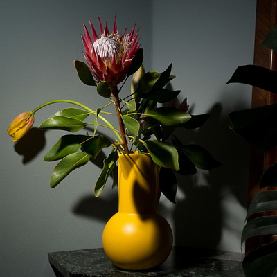 Freesia Yellow Набор декоративной посуды Freesia Yellow Набор декоративной посуды