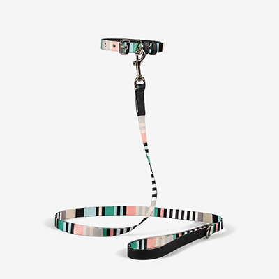 Поводок для собак Striped Green/Charcoal L