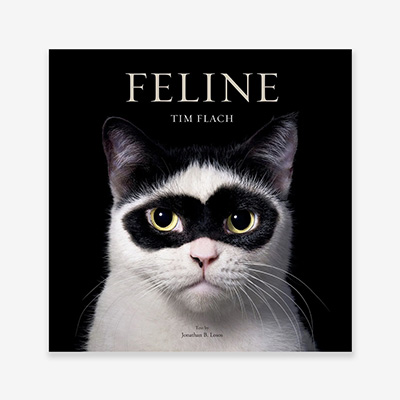 Книга Feline: Photographs