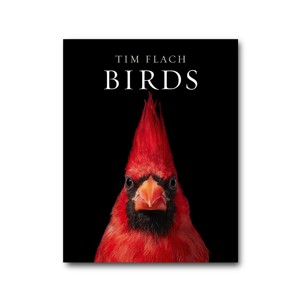 Birds Книга
