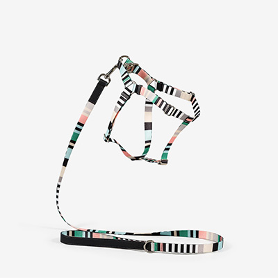 Шлейка для собак Striped Green M