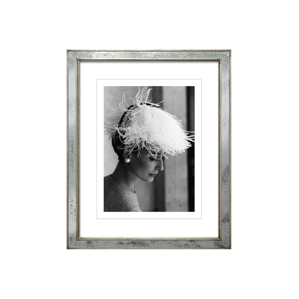 

Постер Ostrich Feather Hat