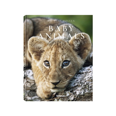 Книга Baby Animals Книга Baby Animals