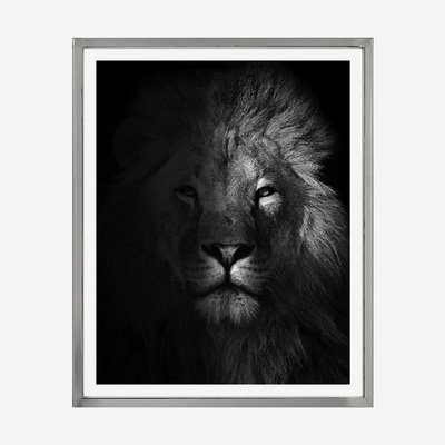 Lion Chelsea Постер