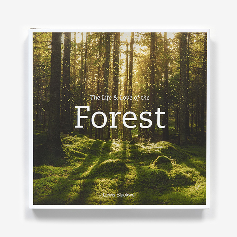 The Life & Love of the Forest Книга