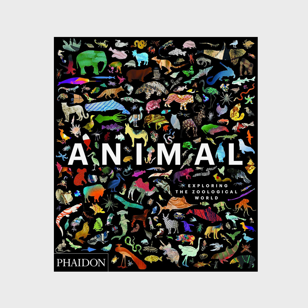 Animal: Exploring the Zoological World Книга