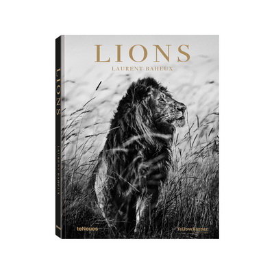 Lions Книга