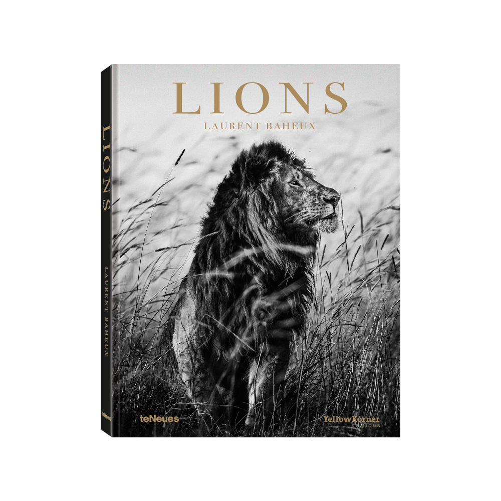 Lions Книга TeNeues - фото 1