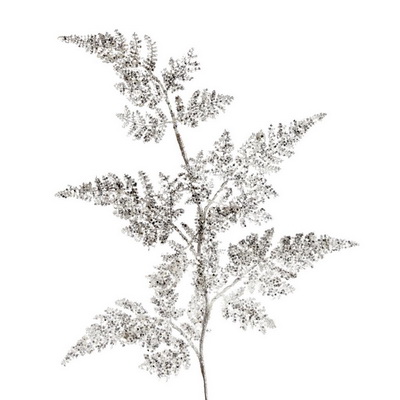 Fern Brunch Набор из 6 декоративных украшений Fern Brunch Набор из 6 декоративных украшений