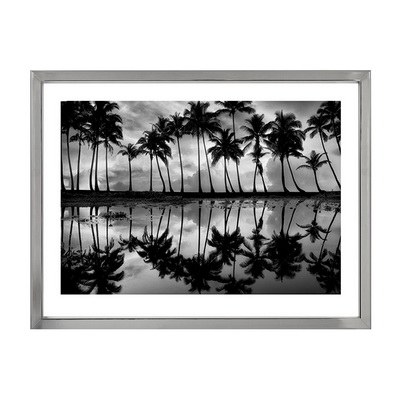 Palm Reflection Постер Palm Reflection Постер