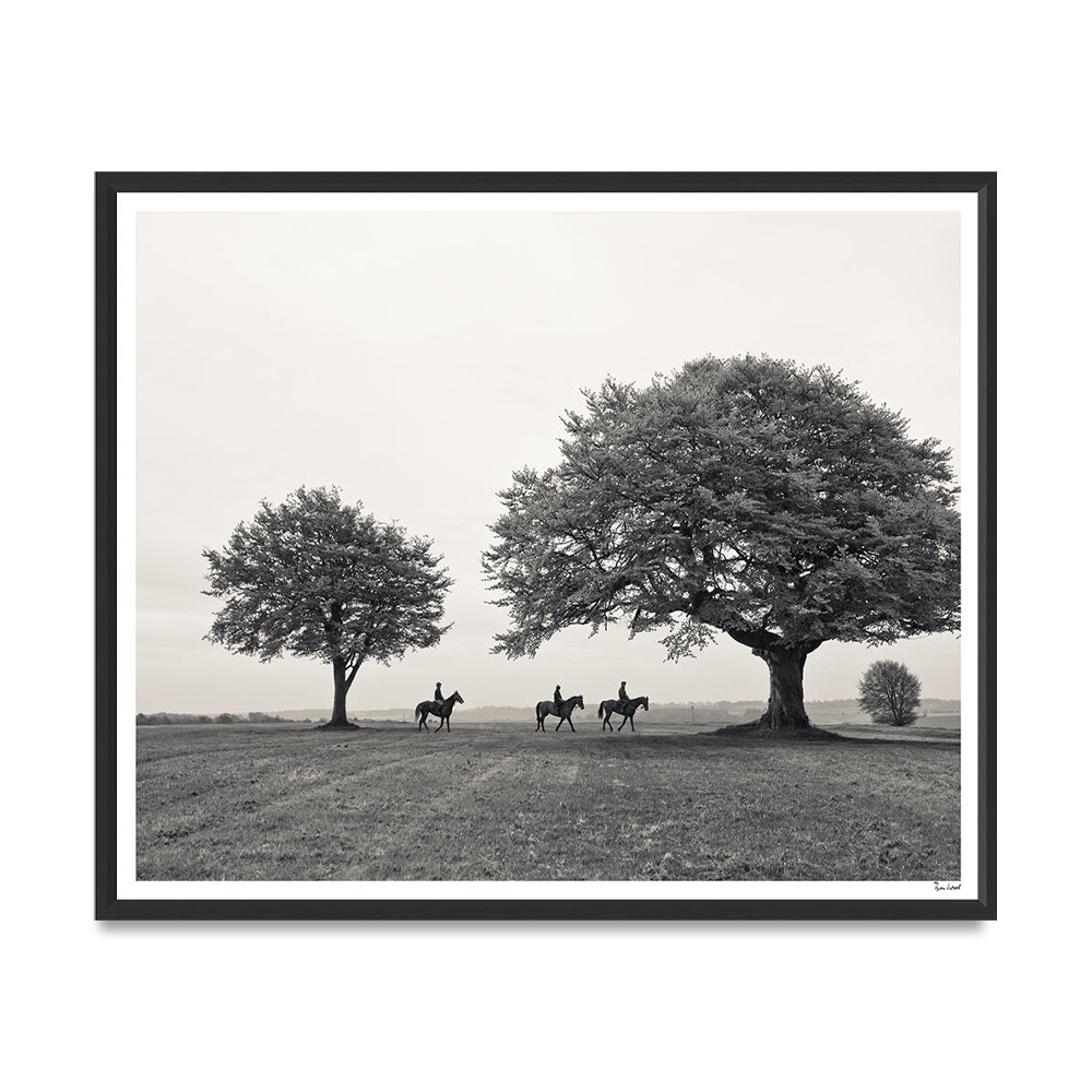 Horses Under Trees Постер Trowbridge - фото 1