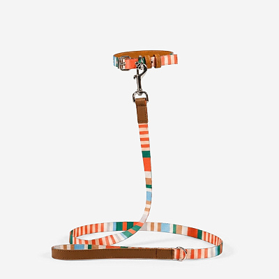 Поводок для собак Striped Orange S