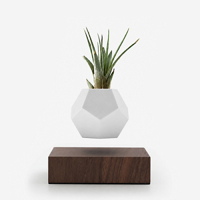 Кашпо левитирующее Lyfe Walnut