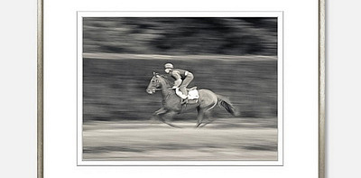 Chantilly Horse Racing Collection X Постер