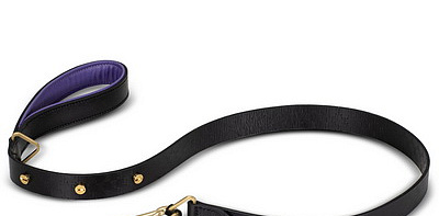 Black Purple Brass Wide Поводок для собак