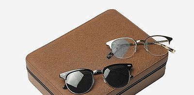 Chocolate Brown Дорожный органайзер для очков