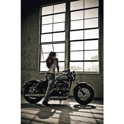 Книга The Harley-Davidson Книга The Harley-Davidson